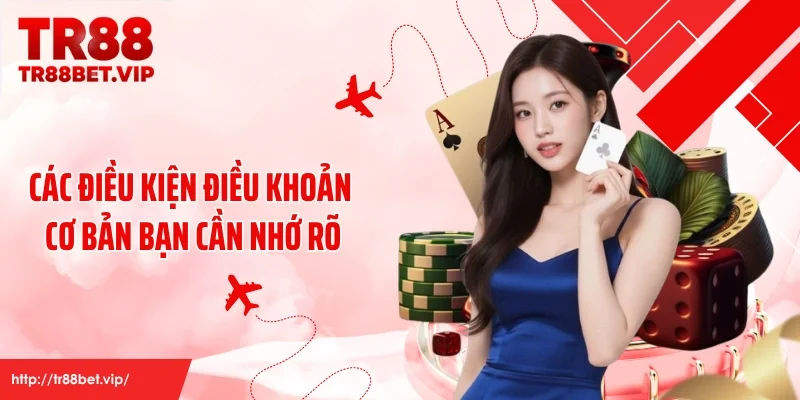 Các điều kiện điều khoản cơ bản bạn cần nhớ rõ