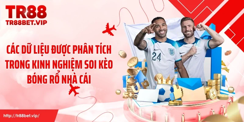 Các dữ liệu được phân tích trong kinh nghiệm soi kèo bóng rổ nhà cái