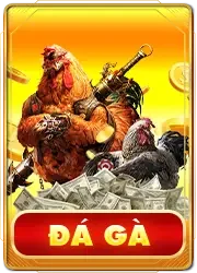 đá gà